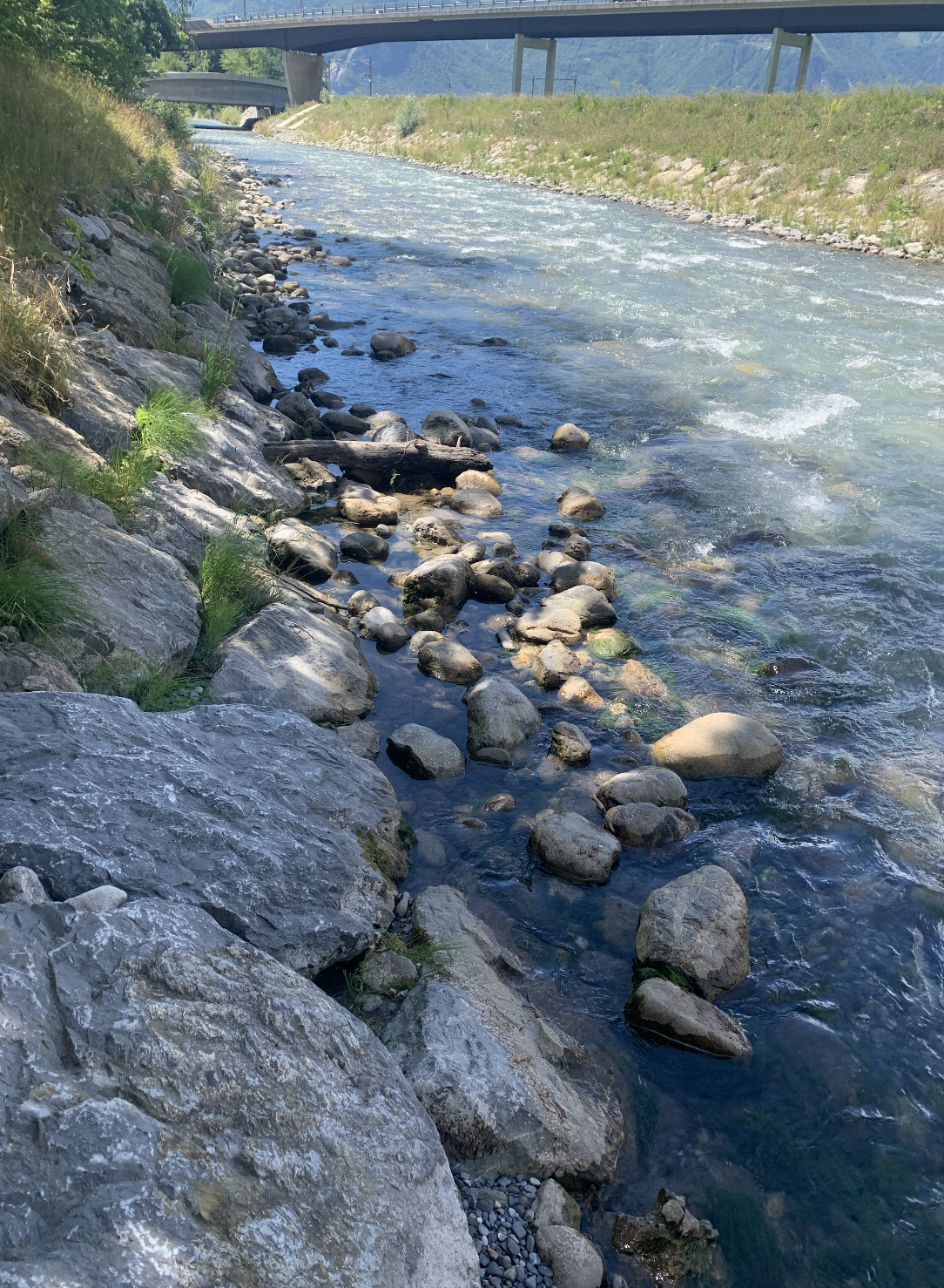 Rhone cleanup
